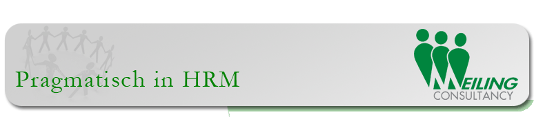 Meiling Consultancy: Pragmatisch in HRM